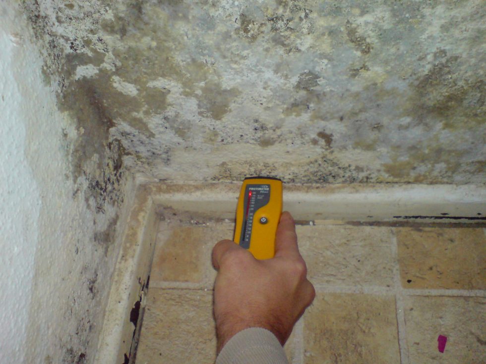 Feuchtemessung an der Wand